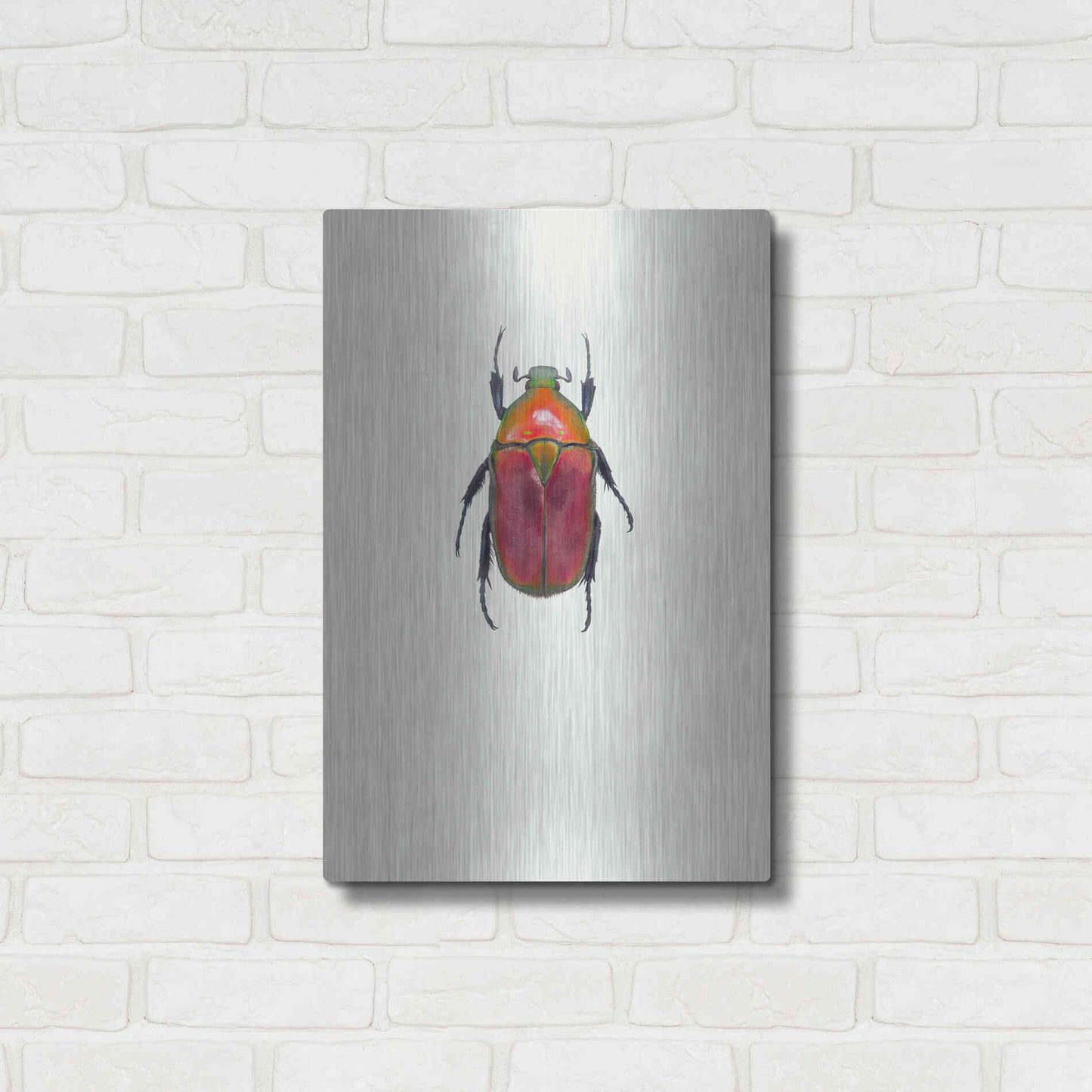Luxe Metal Art 'Torynorrhina Flammea' by Incado, Metal Wall Art,16x24