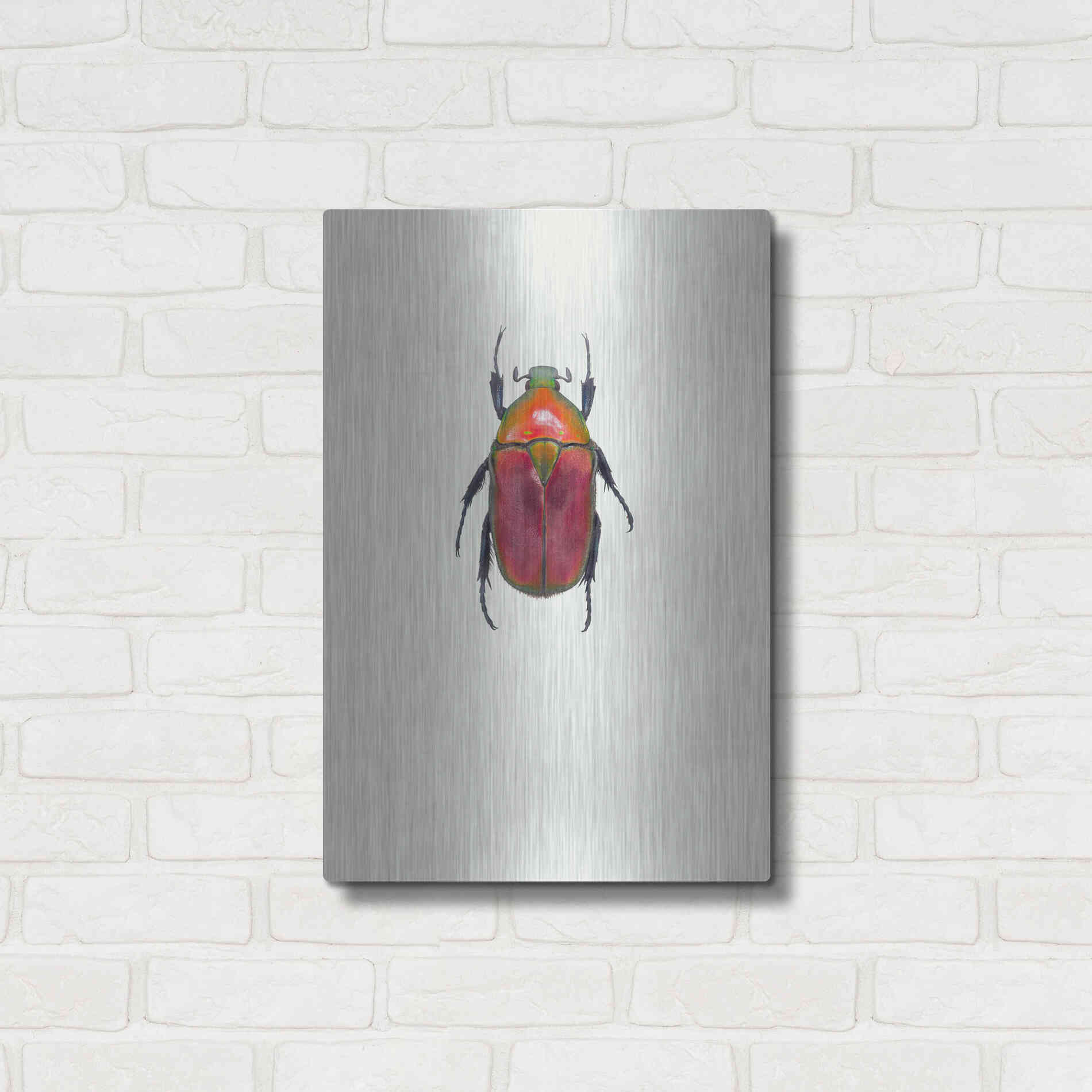 Luxe Metal Art 'Torynorrhina Flammea' by Incado, Metal Wall Art,16x24