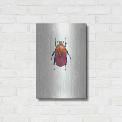 Luxe Metal Art 'Torynorrhina Flammea' by Incado, Metal Wall Art,16x24