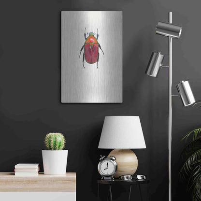 Luxe Metal Art 'Torynorrhina Flammea' by Incado, Metal Wall Art,16x24