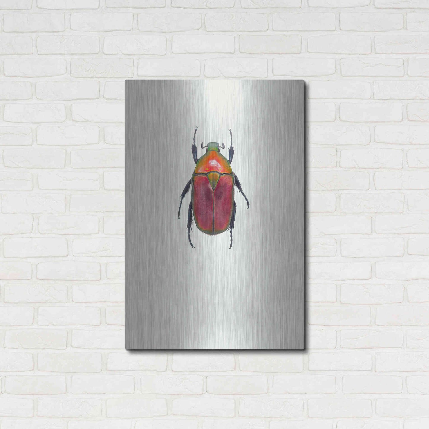 Luxe Metal Art 'Torynorrhina Flammea' by Incado, Metal Wall Art,24x36