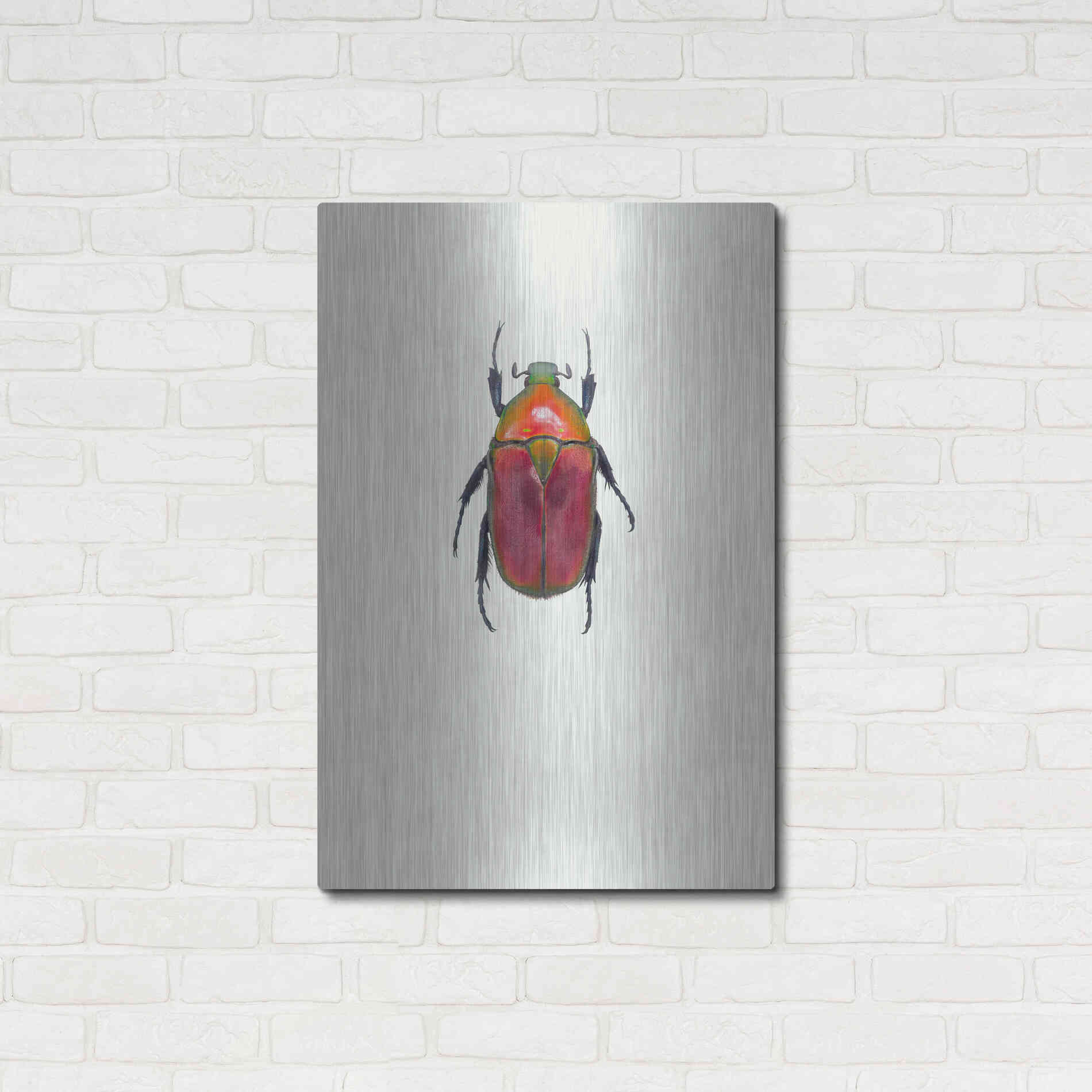 Luxe Metal Art 'Torynorrhina Flammea' by Incado, Metal Wall Art,24x36