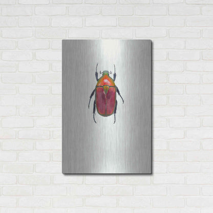Luxe Metal Art 'Torynorrhina Flammea' by Incado, Metal Wall Art,24x36