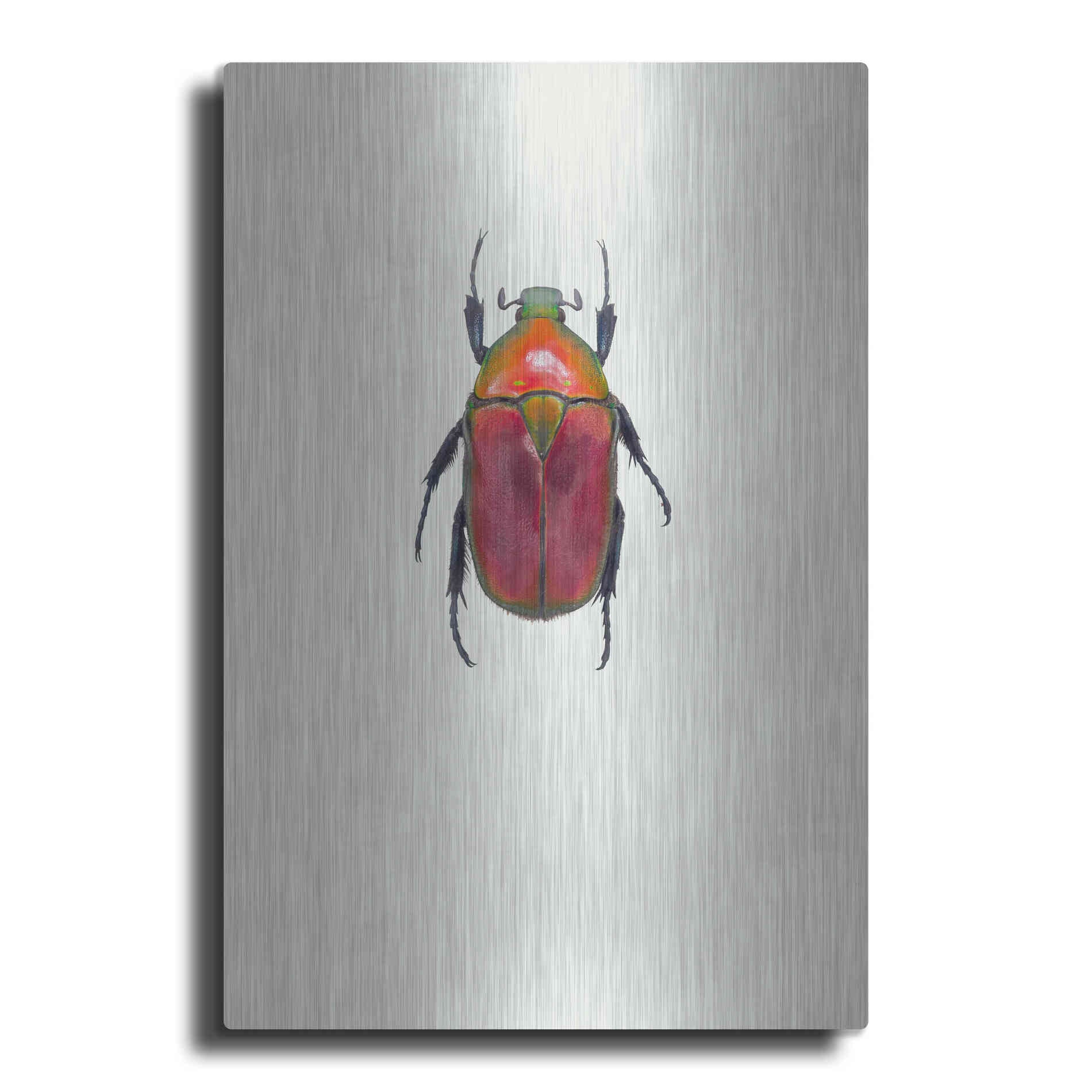 Luxe Metal Art 'Torynorrhina Flammea' by Incado, Metal Wall Art