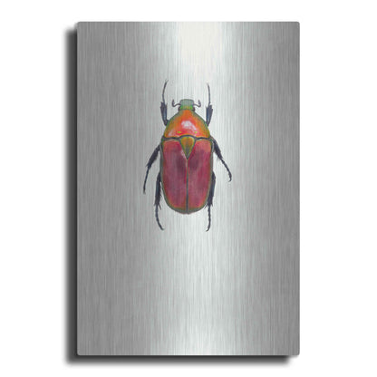 Luxe Metal Art 'Torynorrhina Flammea' by Incado, Metal Wall Art