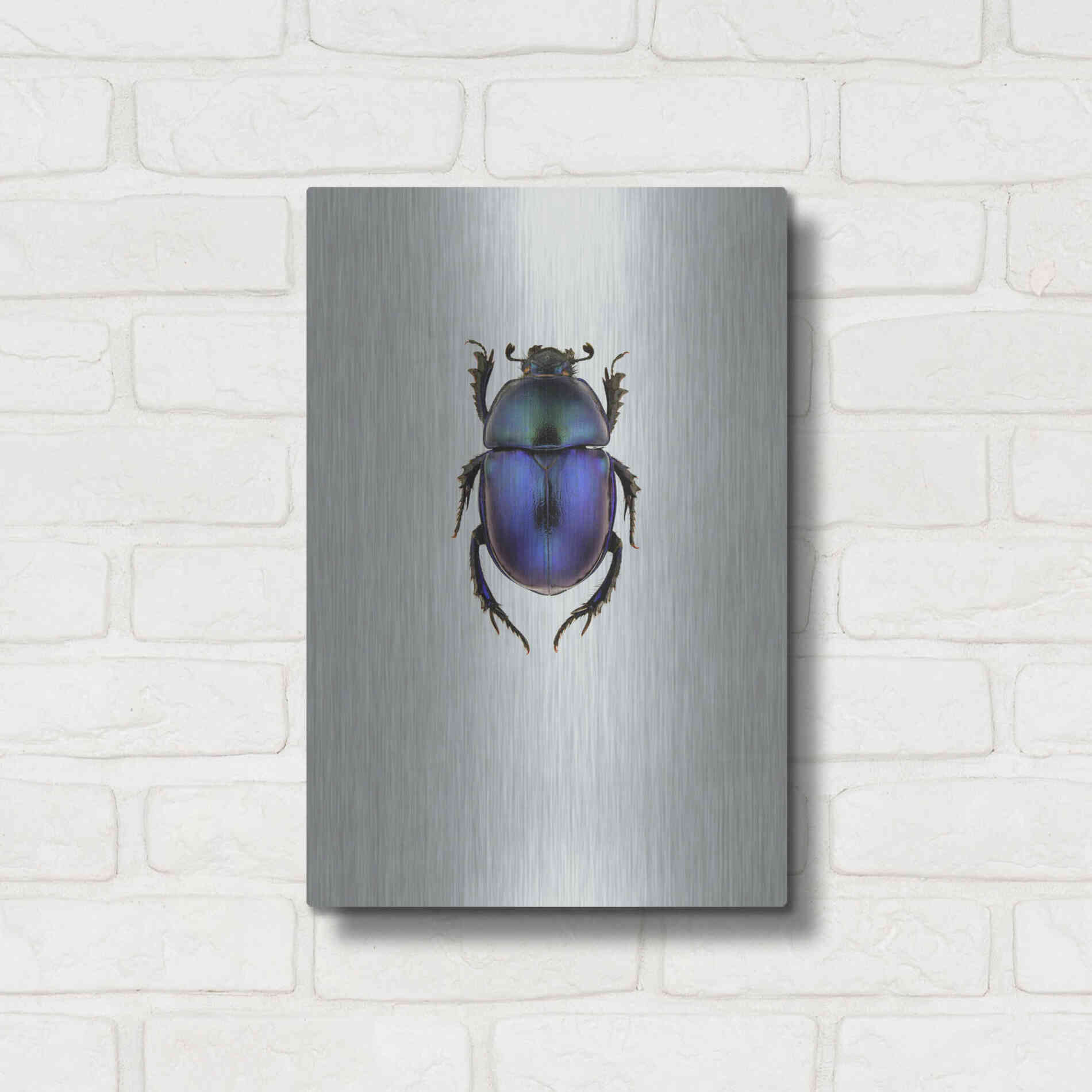 Luxe Metal Art 'Trypocopris Vernalis' by Incado, Metal Wall Art,12x16