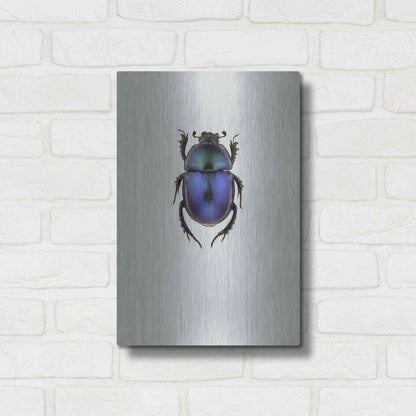 Luxe Metal Art 'Trypocopris Vernalis' by Incado, Metal Wall Art,12x16