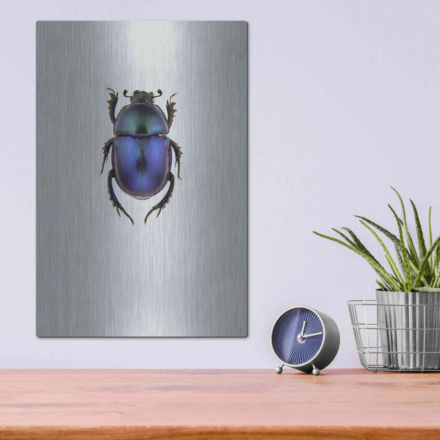 Luxe Metal Art 'Trypocopris Vernalis' by Incado, Metal Wall Art,12x16