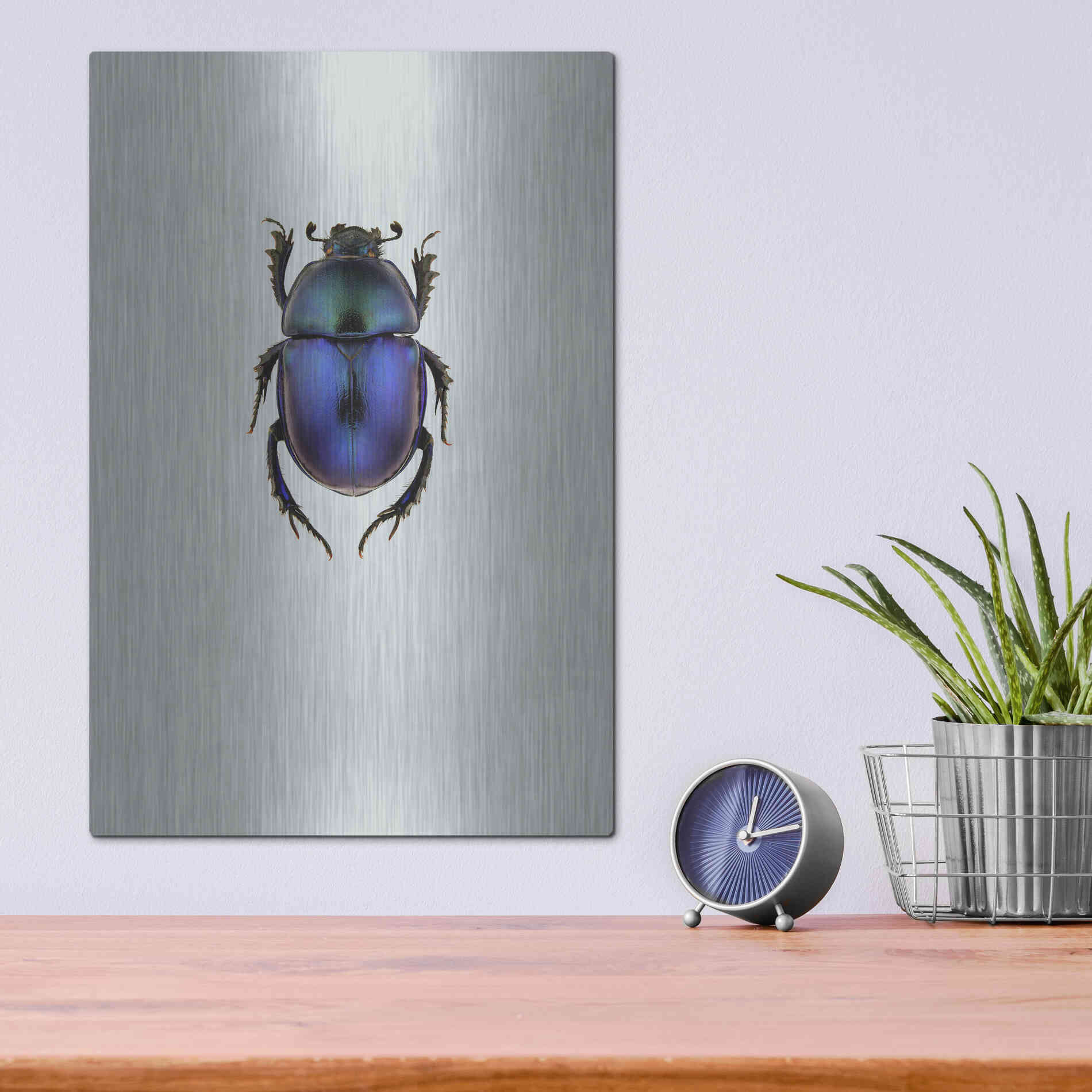 Luxe Metal Art 'Trypocopris Vernalis' by Incado, Metal Wall Art,12x16