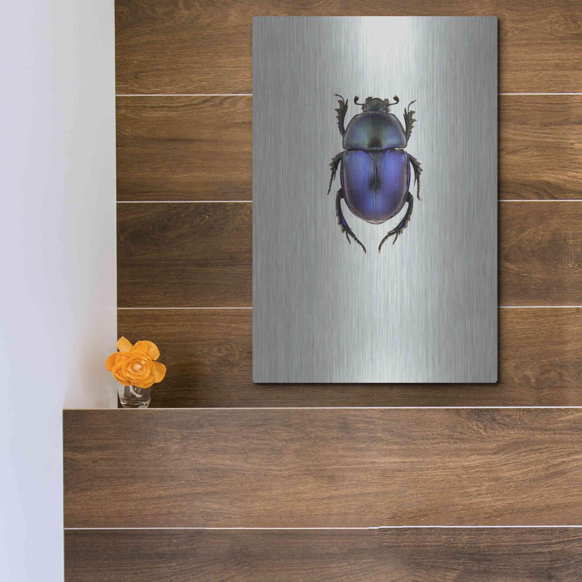 Luxe Metal Art 'Trypocopris Vernalis' by Incado, Metal Wall Art,12x16