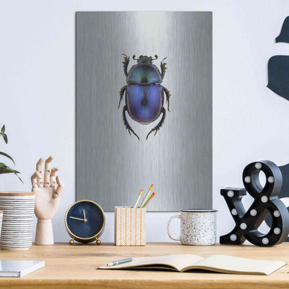 Luxe Metal Art 'Trypocopris Vernalis' by Incado, Metal Wall Art,12x16