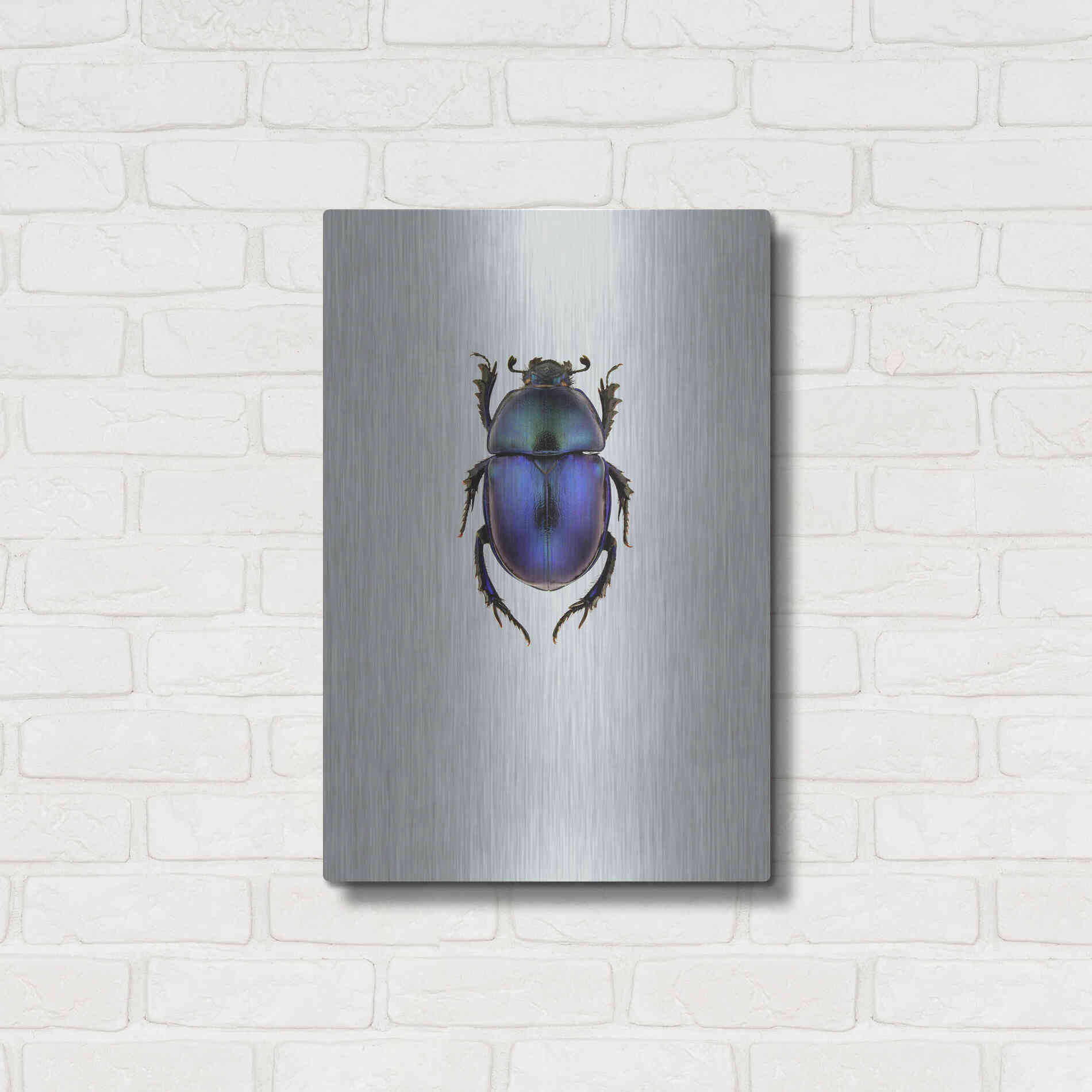 Luxe Metal Art 'Trypocopris Vernalis' by Incado, Metal Wall Art,16x24