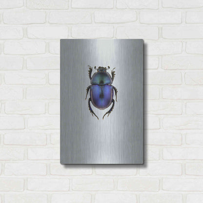 Luxe Metal Art 'Trypocopris Vernalis' by Incado, Metal Wall Art,16x24