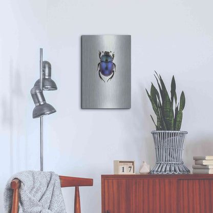 Luxe Metal Art 'Trypocopris Vernalis' by Incado, Metal Wall Art,16x24