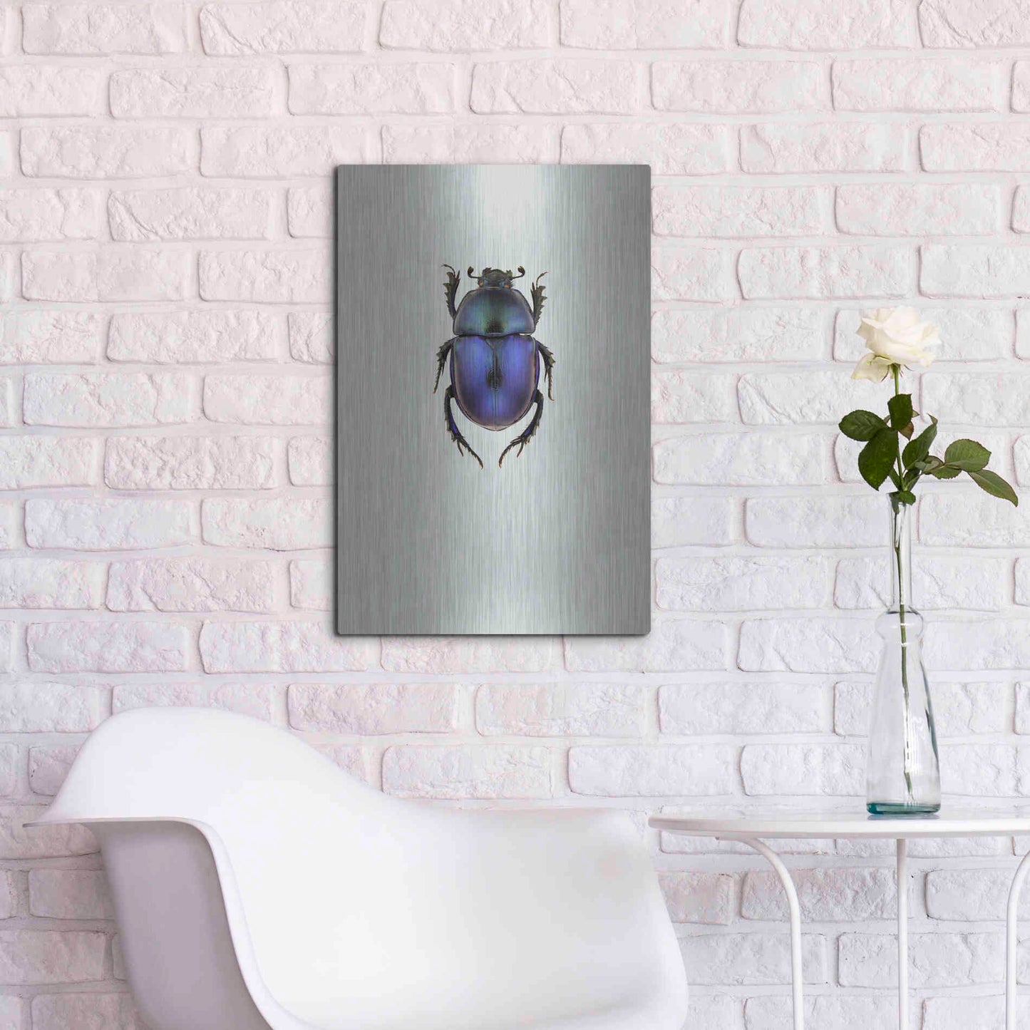 Luxe Metal Art 'Trypocopris Vernalis' by Incado, Metal Wall Art,16x24