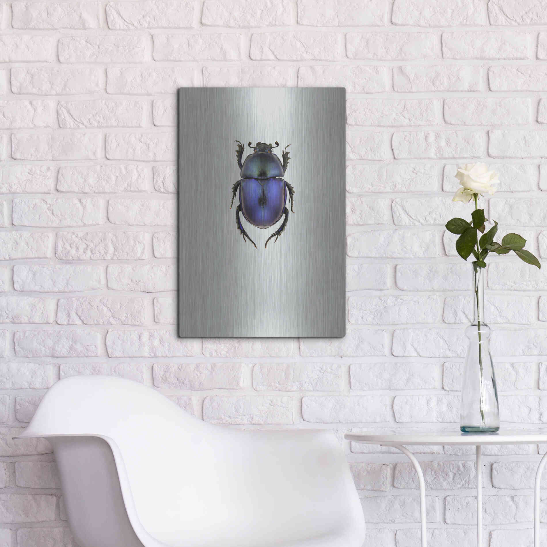 Luxe Metal Art 'Trypocopris Vernalis' by Incado, Metal Wall Art,16x24