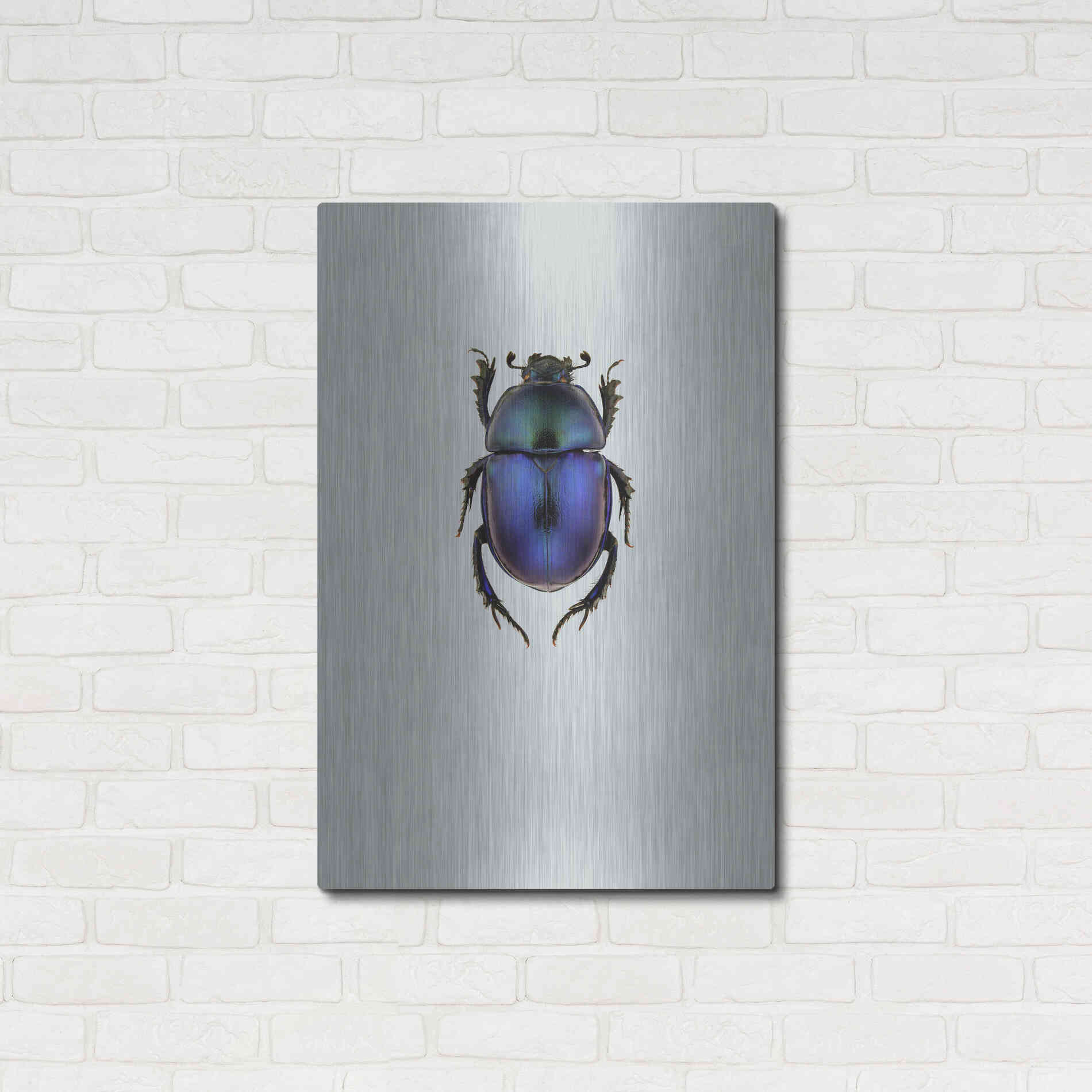 Luxe Metal Art 'Trypocopris Vernalis' by Incado, Metal Wall Art,24x36