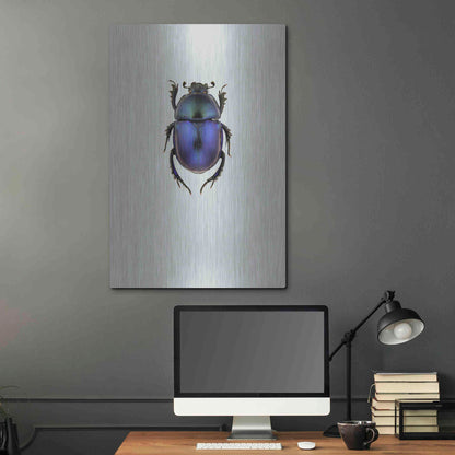 Luxe Metal Art 'Trypocopris Vernalis' by Incado, Metal Wall Art,24x36