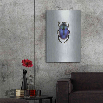 Luxe Metal Art 'Trypocopris Vernalis' by Incado, Metal Wall Art,24x36