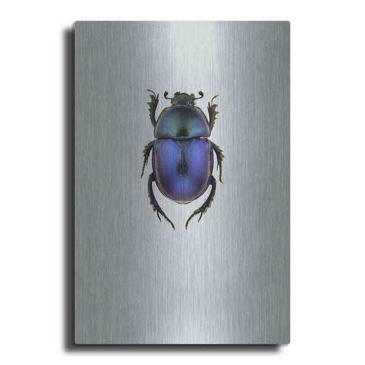 Luxe Metal Art 'Trypocopris Vernalis' by Incado, Metal Wall Art