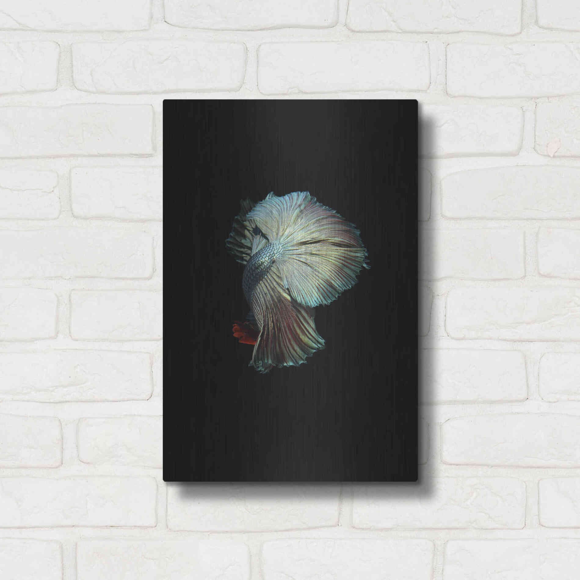 Luxe Metal Art 'Turquoise and Red Betta' by Incado, Metal Wall Art,12x16