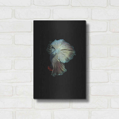 Luxe Metal Art 'Turquoise and Red Betta' by Incado, Metal Wall Art,12x16