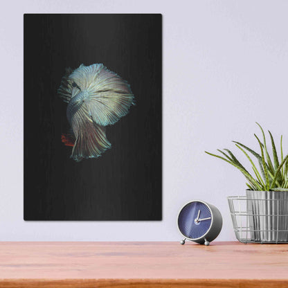 Luxe Metal Art 'Turquoise and Red Betta' by Incado, Metal Wall Art,12x16