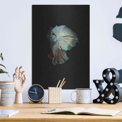 Luxe Metal Art 'Turquoise and Red Betta' by Incado, Metal Wall Art,12x16