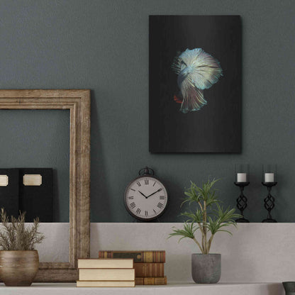 Luxe Metal Art 'Turquoise and Red Betta' by Incado, Metal Wall Art,12x16