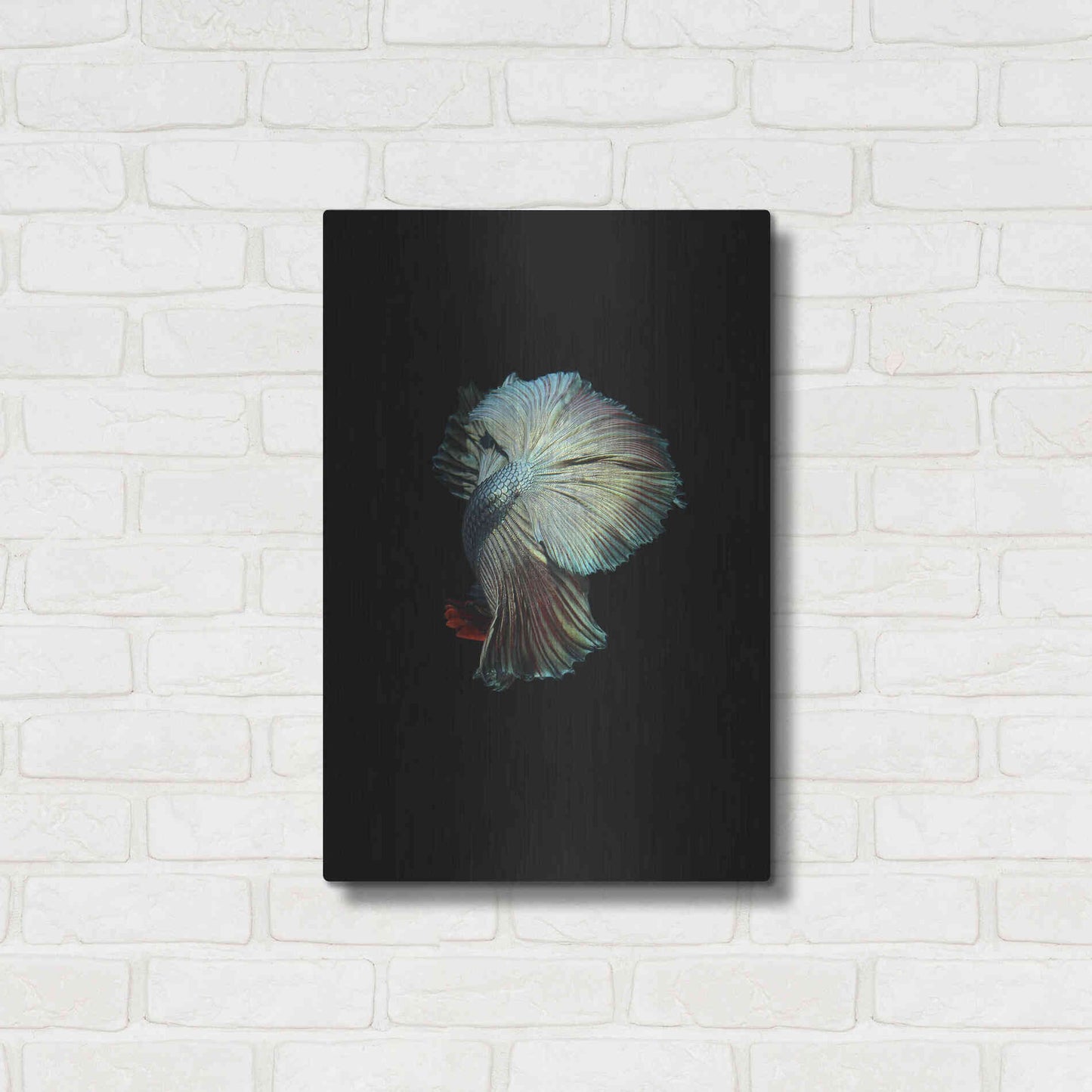 Luxe Metal Art 'Turquoise and Red Betta' by Incado, Metal Wall Art,16x24