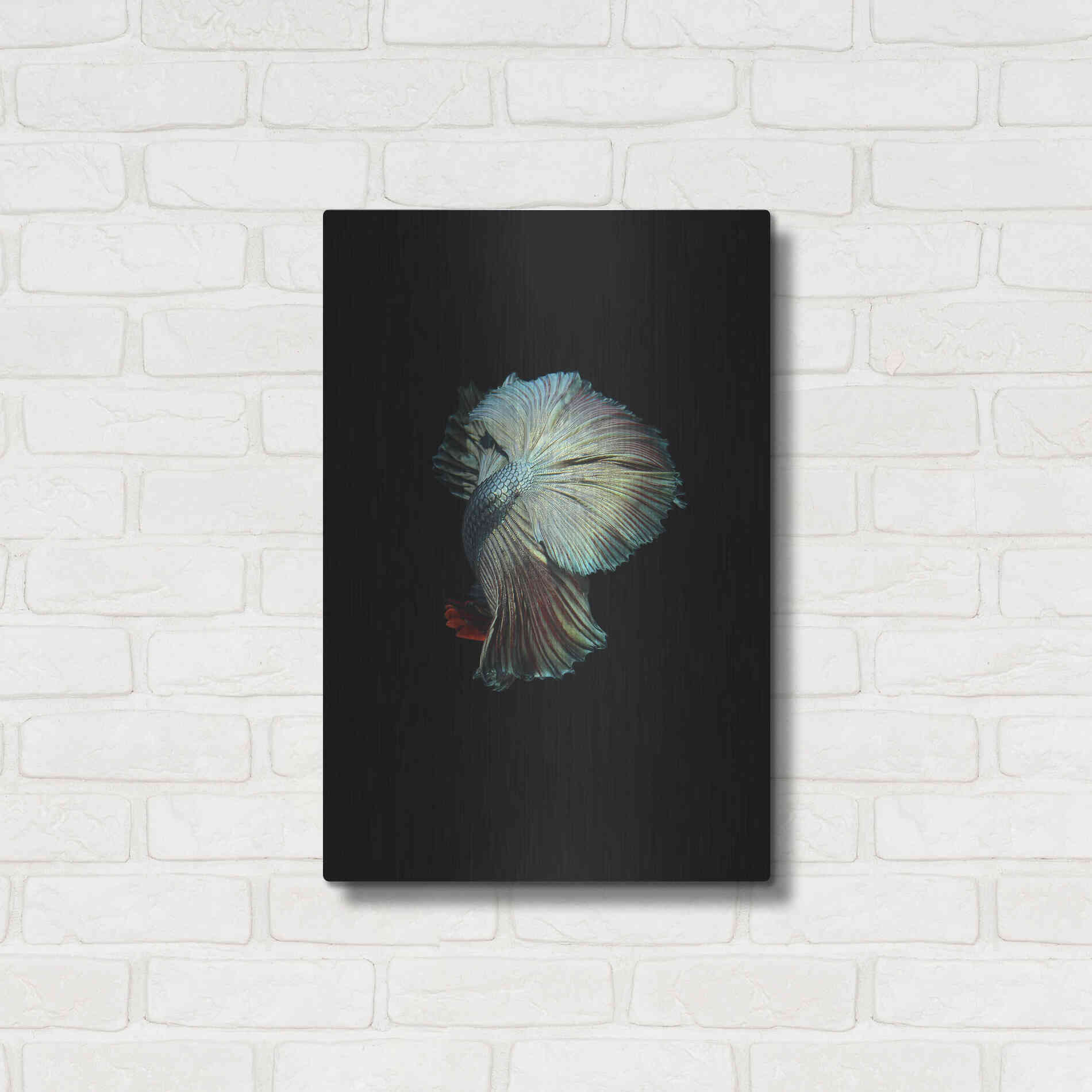 Luxe Metal Art 'Turquoise and Red Betta' by Incado, Metal Wall Art,16x24