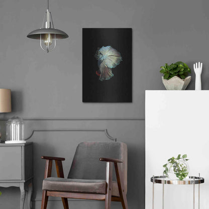 Luxe Metal Art 'Turquoise and Red Betta' by Incado, Metal Wall Art,16x24