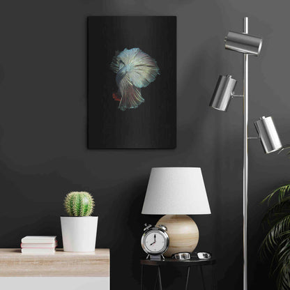 Luxe Metal Art 'Turquoise and Red Betta' by Incado, Metal Wall Art,16x24