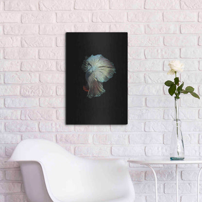Luxe Metal Art 'Turquoise and Red Betta' by Incado, Metal Wall Art,16x24