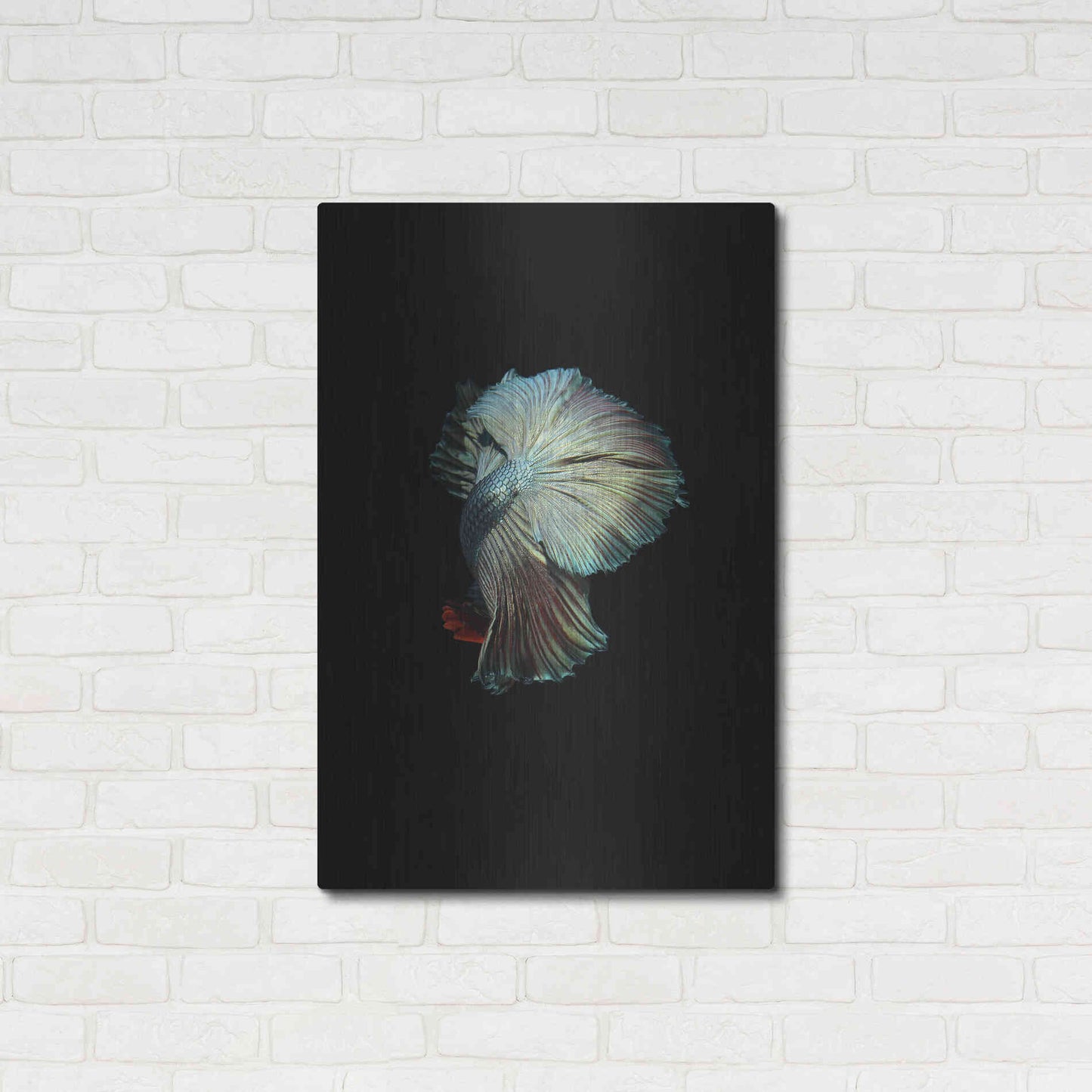 Luxe Metal Art 'Turquoise and Red Betta' by Incado, Metal Wall Art,24x36
