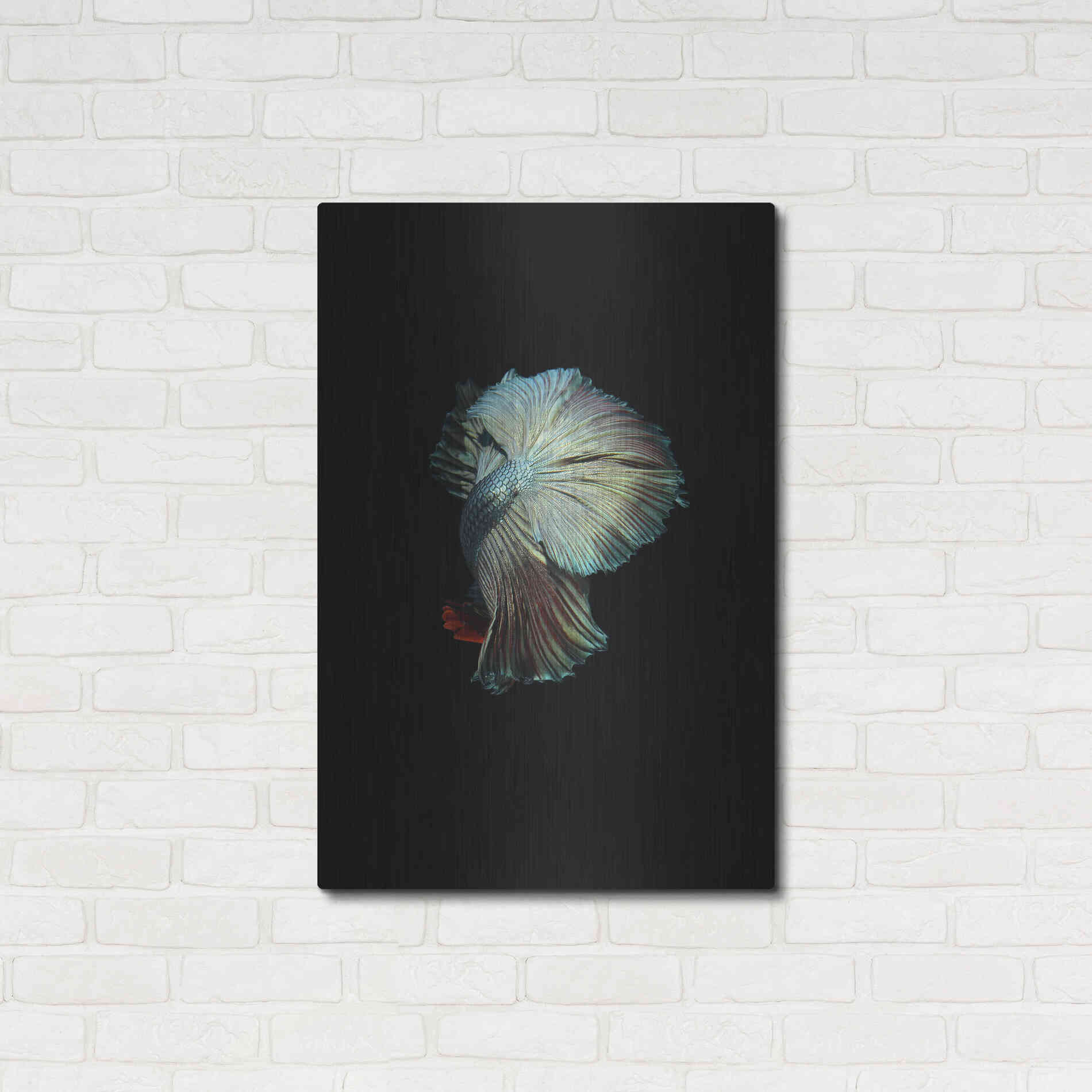 Luxe Metal Art 'Turquoise and Red Betta' by Incado, Metal Wall Art,24x36