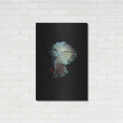 Luxe Metal Art 'Turquoise and Red Betta' by Incado, Metal Wall Art,24x36