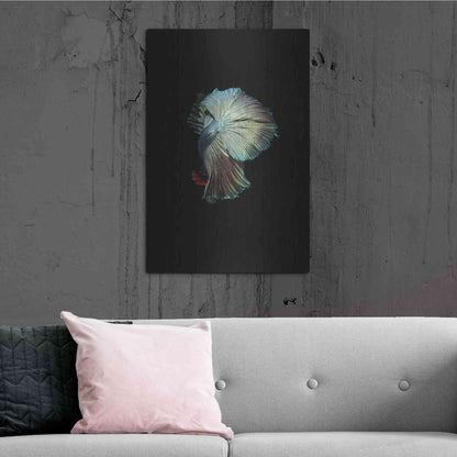 Luxe Metal Art 'Turquoise and Red Betta' by Incado, Metal Wall Art,24x36