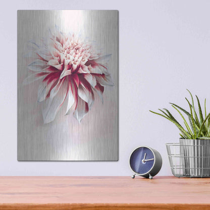 Luxe Metal Art 'Water Dahlia' by Incado, Metal Wall Art,12x16