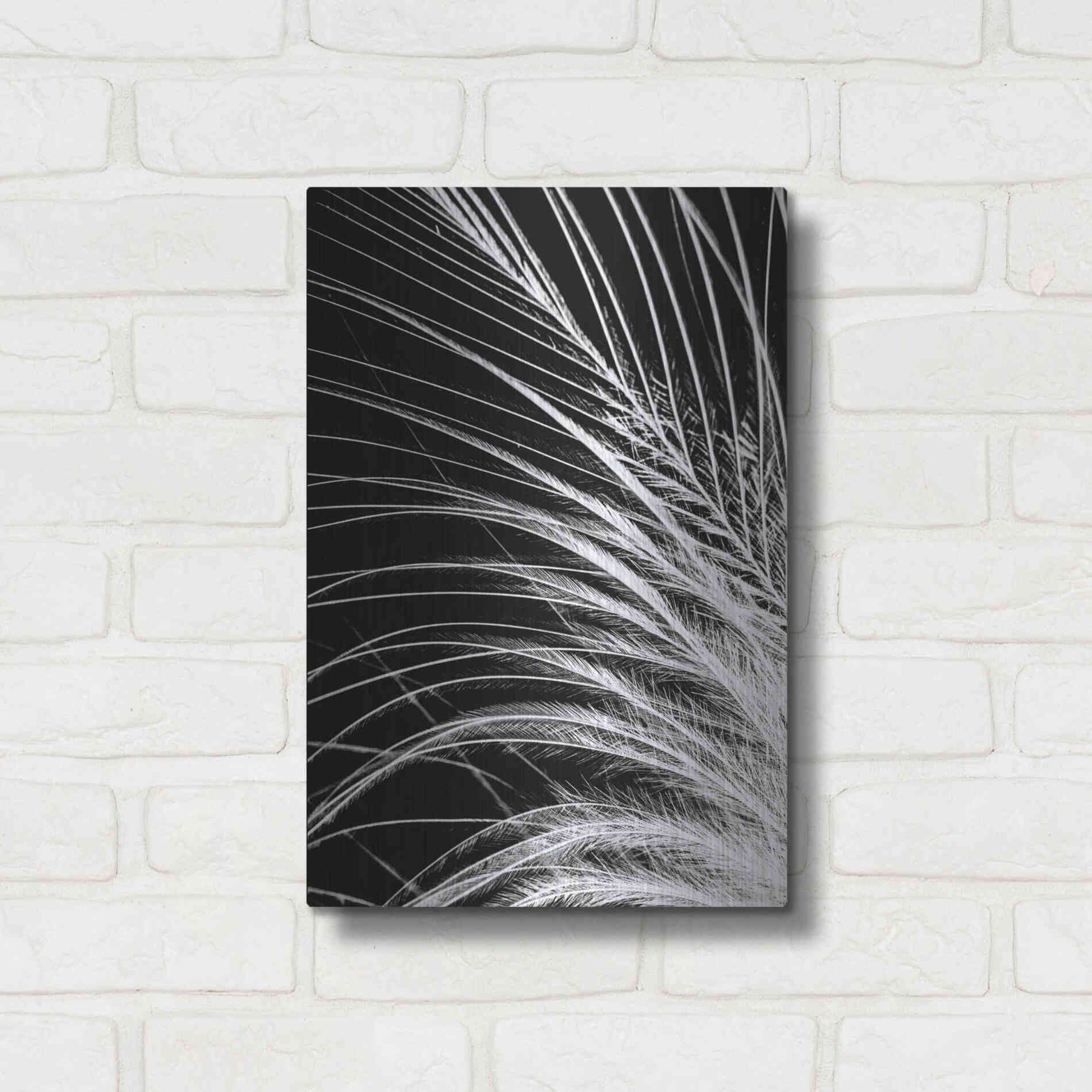 Luxe Metal Art 'White Feather' by Incado, Metal Wall Art,12x16