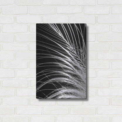 Luxe Metal Art 'White Feather' by Incado, Metal Wall Art,16x24