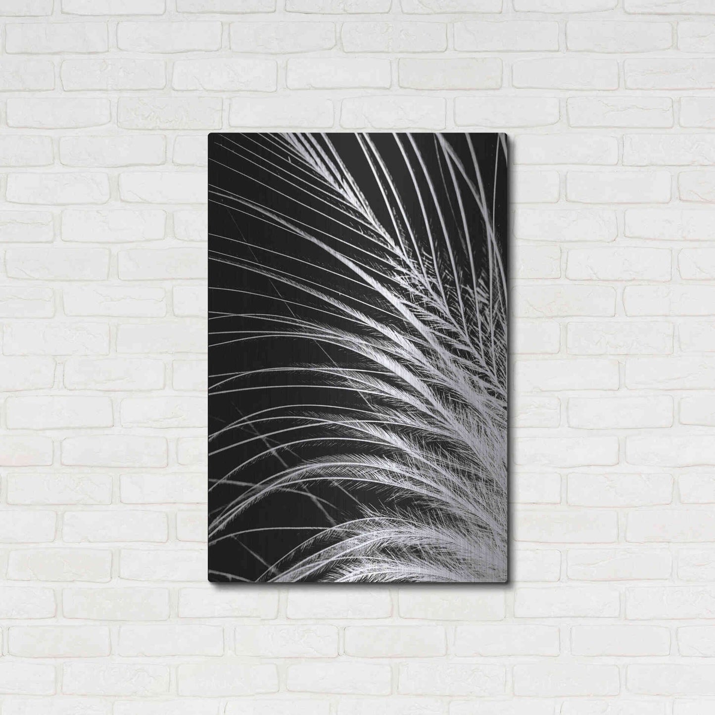 Luxe Metal Art 'White Feather' by Incado, Metal Wall Art,24x36