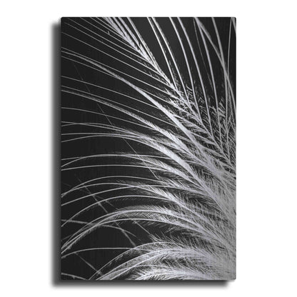 Luxe Metal Art 'White Feather' by Incado, Metal Wall Art