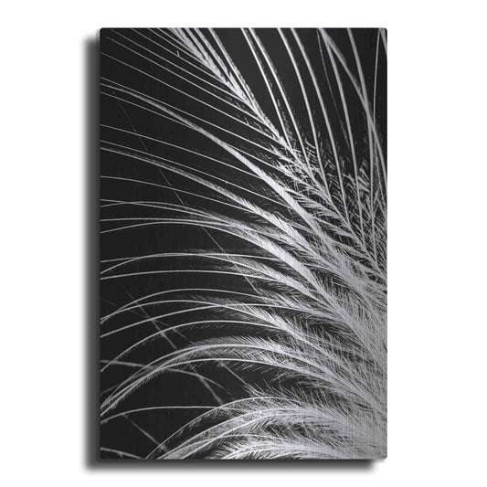 Luxe Metal Art 'White Feather' by Incado, Metal Wall Art