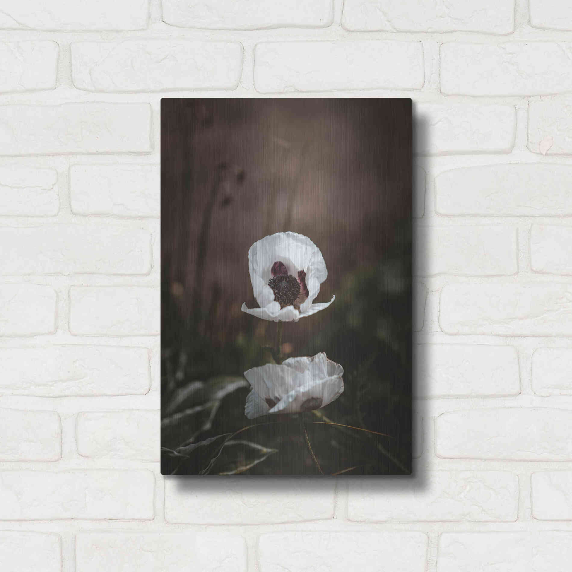 Luxe Metal Art 'White Poppies' by Incado, Metal Wall Art,12x16