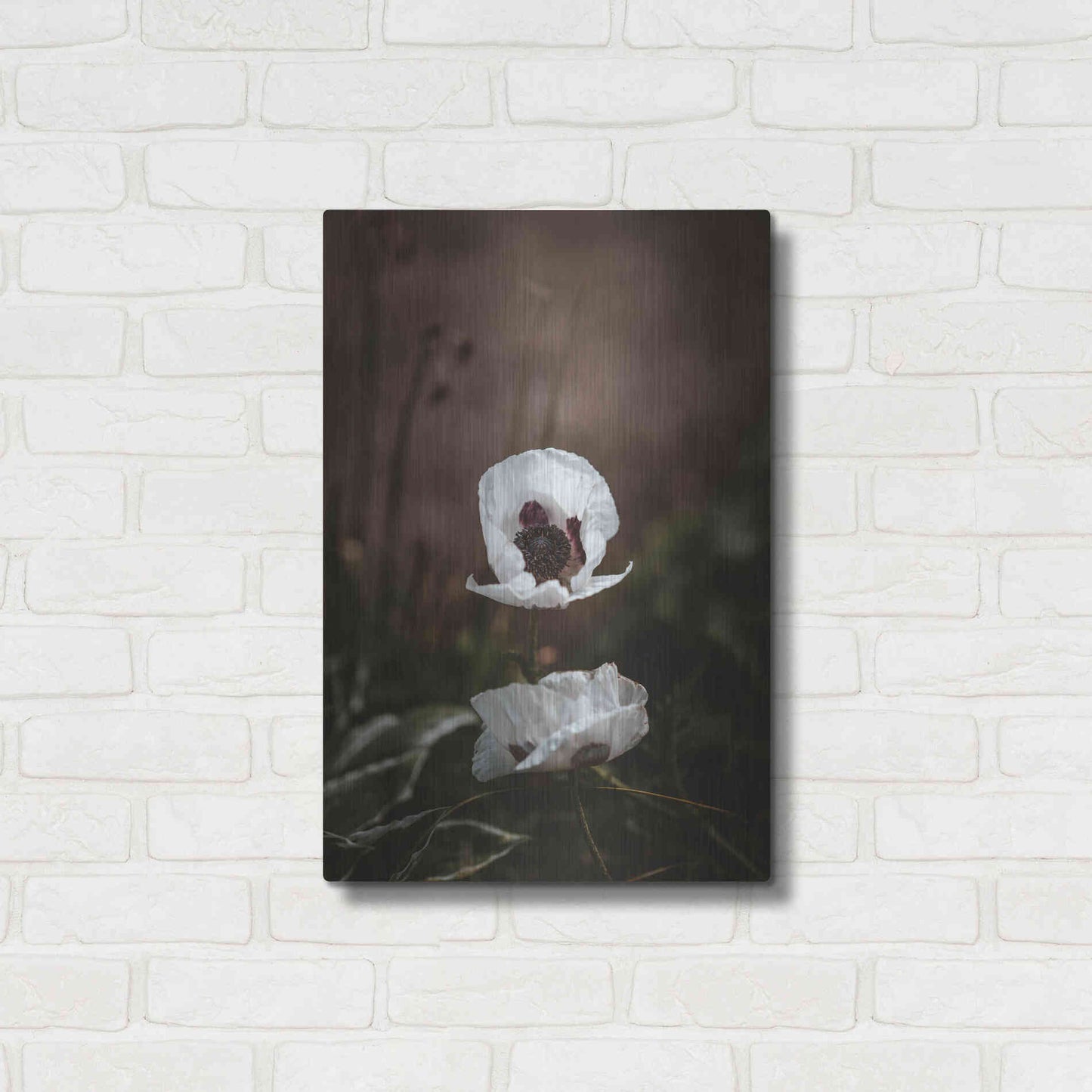 Luxe Metal Art 'White Poppies' by Incado, Metal Wall Art,16x24