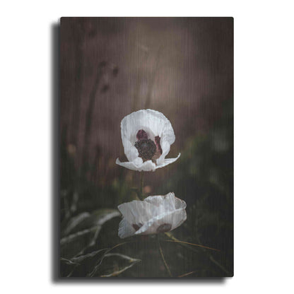 Luxe Metal Art 'White Poppies' by Incado, Metal Wall Art