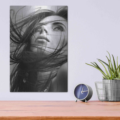 Luxe Metal Art 'Windy Day' by Incado, Metal Wall Art,12x16