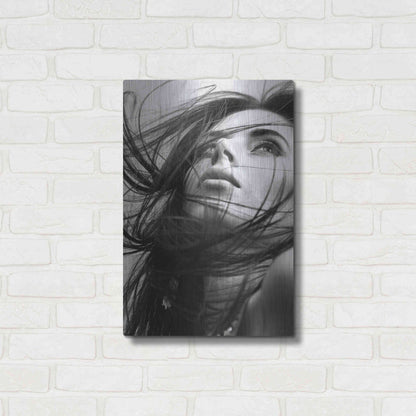 Luxe Metal Art 'Windy Day' by Incado, Metal Wall Art,16x24