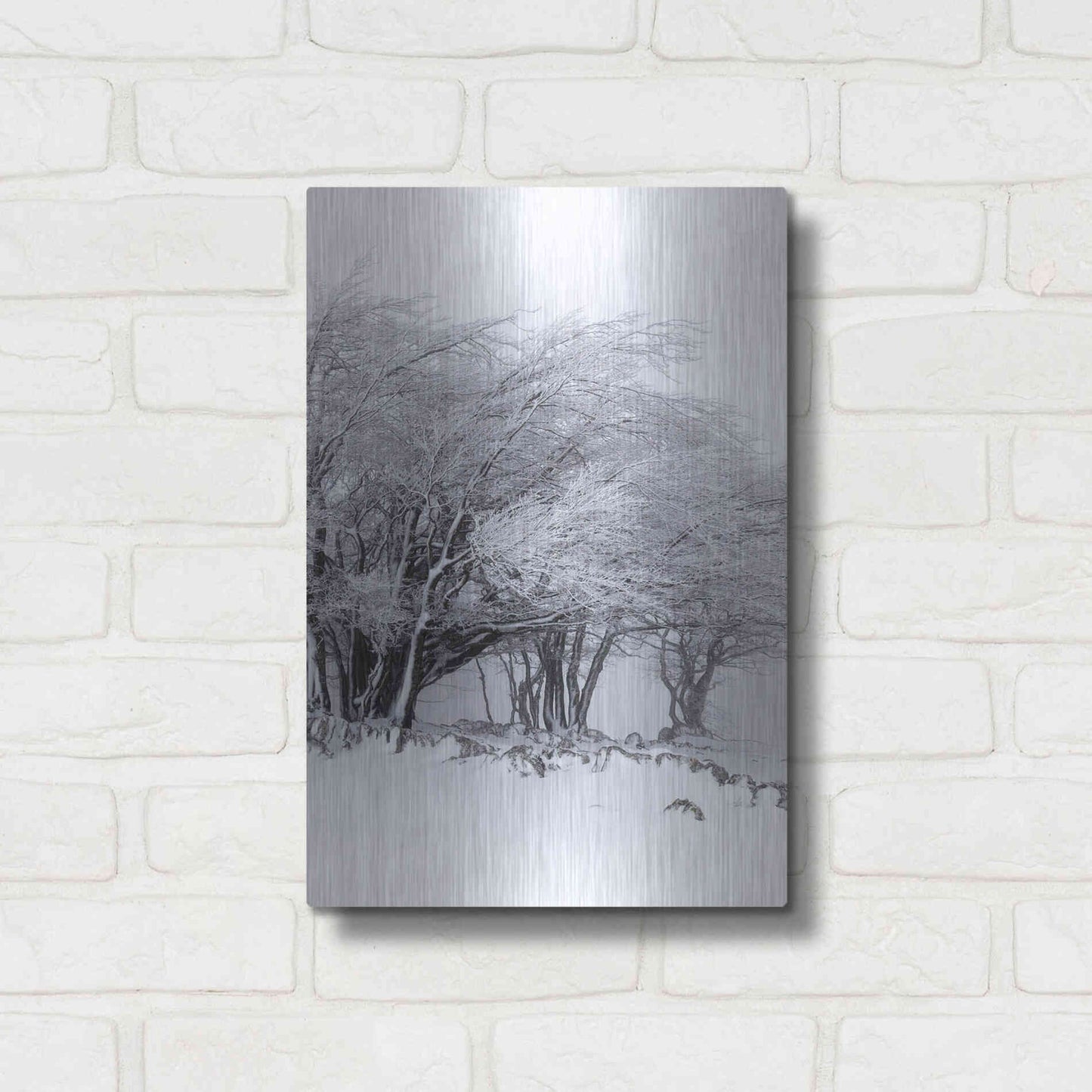 Luxe Metal Art 'Winter Storm' by Incado, Metal Wall Art,12x16